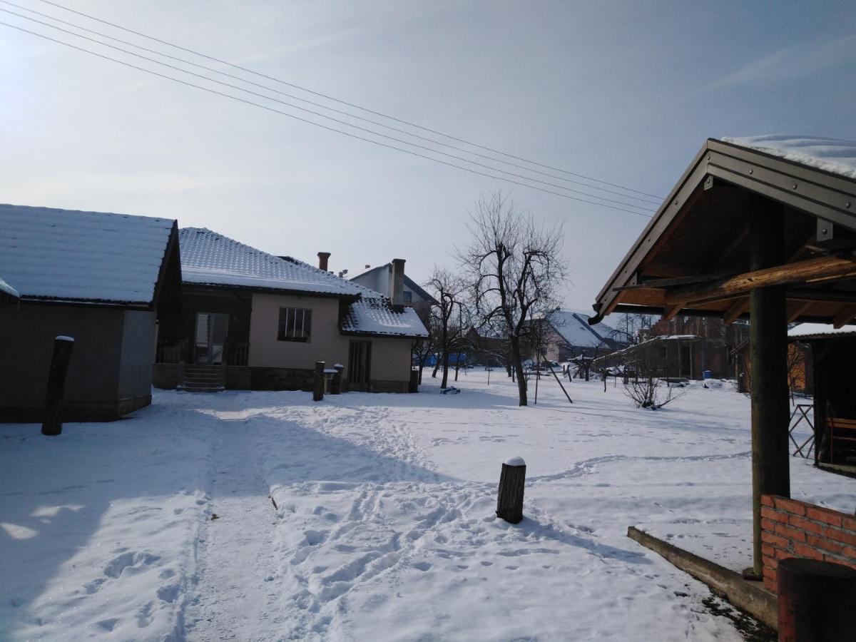 Mala Basta Apartment Bajina Basta Bagian luar foto